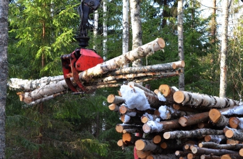 охрана труда в лесозаготовительном деревообрабатывающем производствах